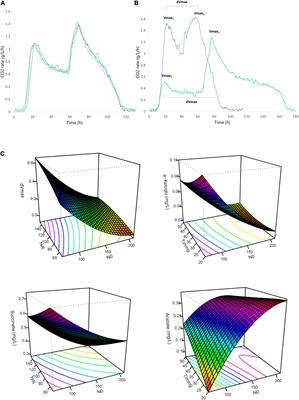 The Timing of Nitrogen Addition Impacts Yeast Genes Expression and the Production of Aroma Compounds During Wine Fermentation